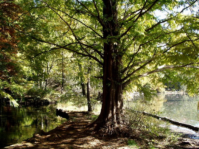 img0020.jpg