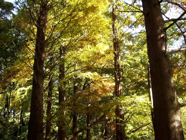 img0021.jpg