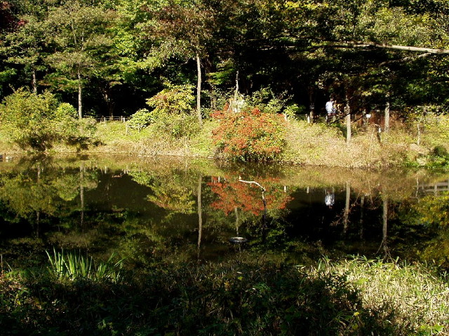 img0023.jpg