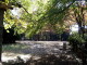 img0003.jpg
