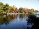 img0005.jpg
