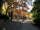 img0010.jpg