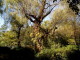 img0012.jpg