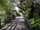img0014.jpg