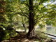 img0020.jpg