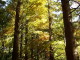 img0021.jpg