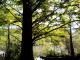 img0022.jpg