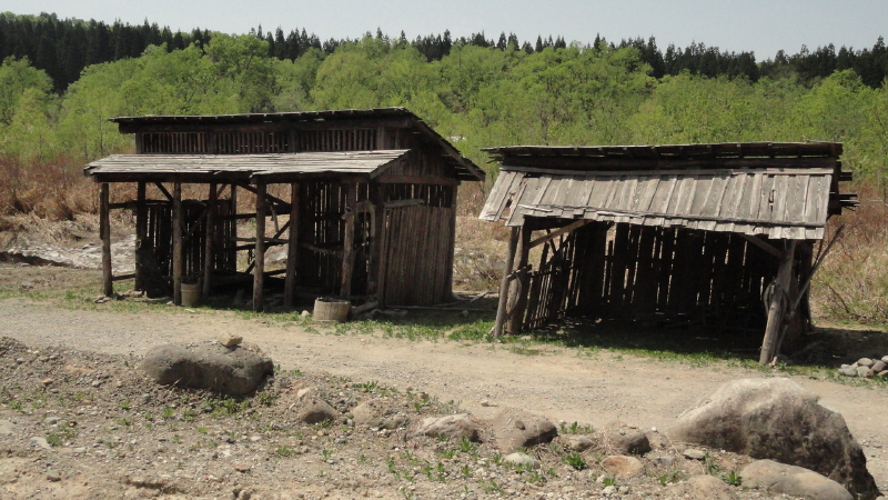 img0029.jpg