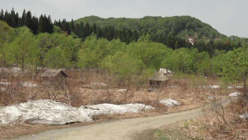 img0050.jpg