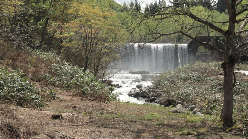 img0057.jpg