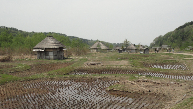 img0088.jpg