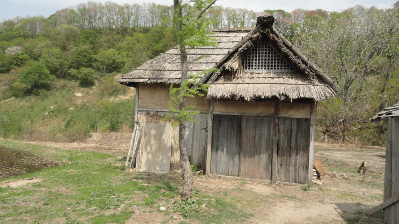 img0103.jpg