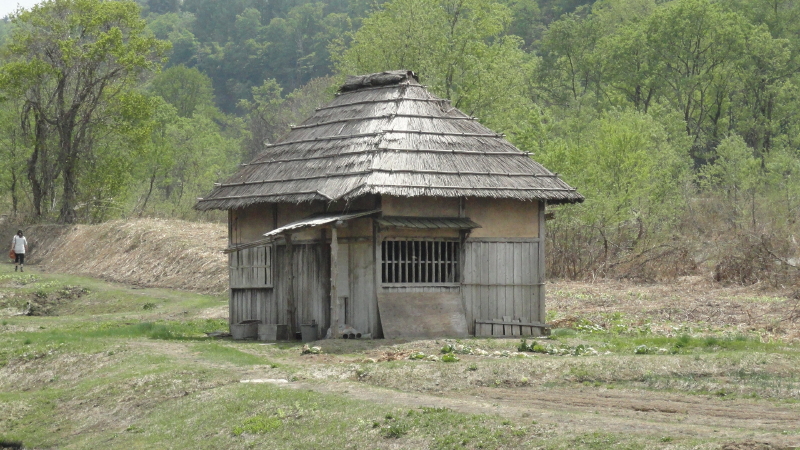 img0151.jpg