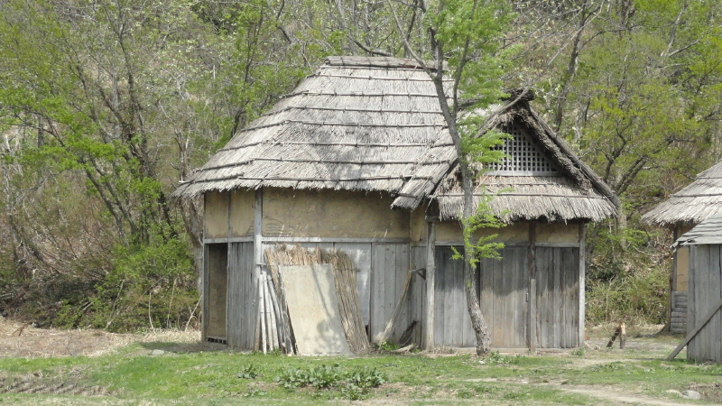 img0152.jpg