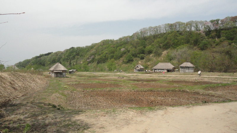 img0155.jpg