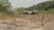 img0021.jpg