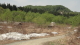 img0050.jpg