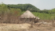 img0055.jpg