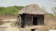 img0069.jpg