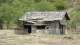 img0106.jpg