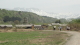 img0144.jpg