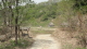 img0156.jpg