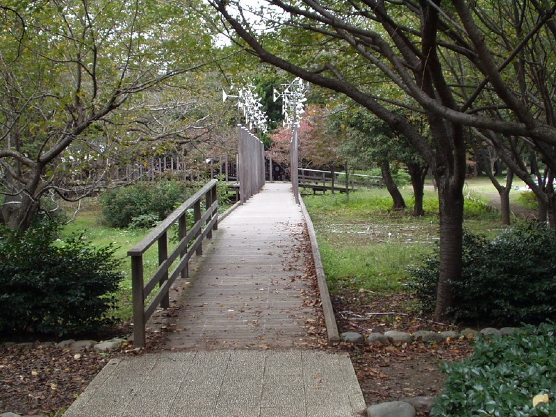 img0003.jpg