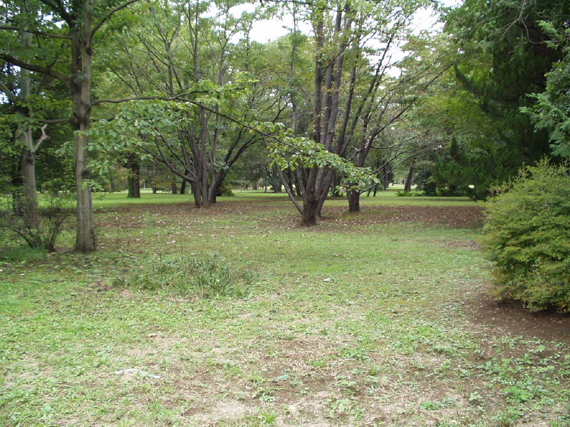 img0004.jpg