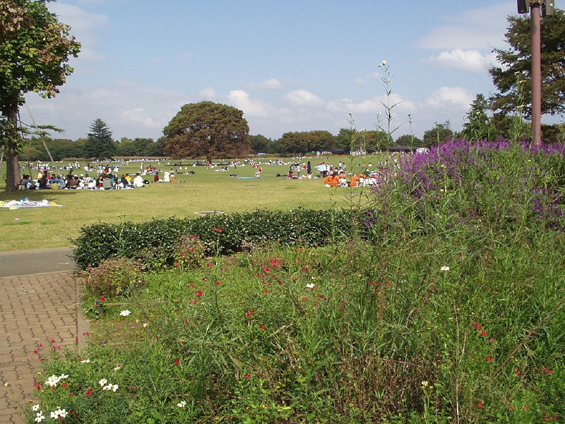 img0010.jpg
