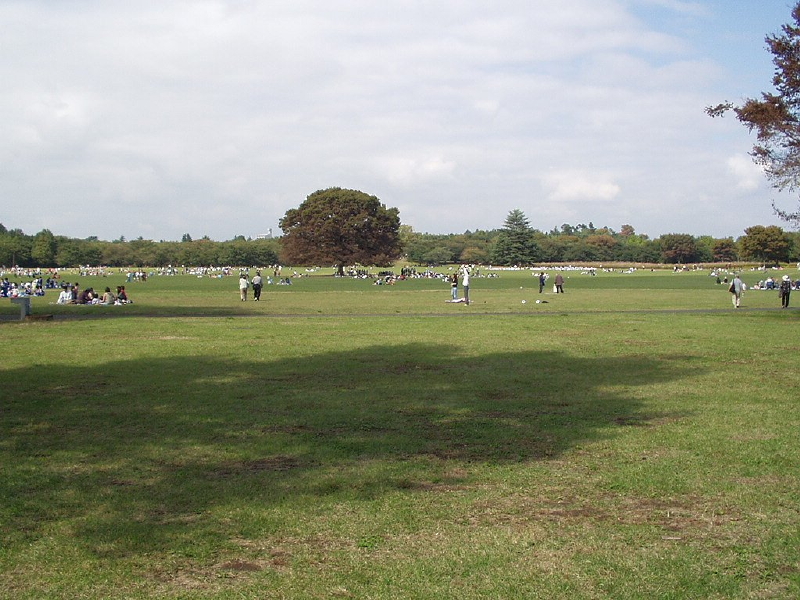 img0012.jpg