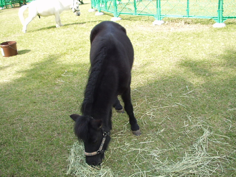 img0014.jpg