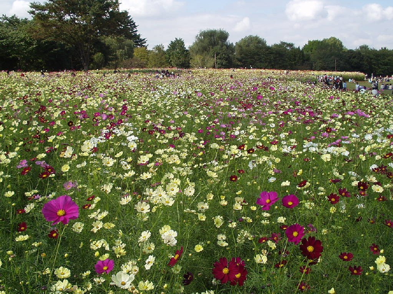 img0015.jpg