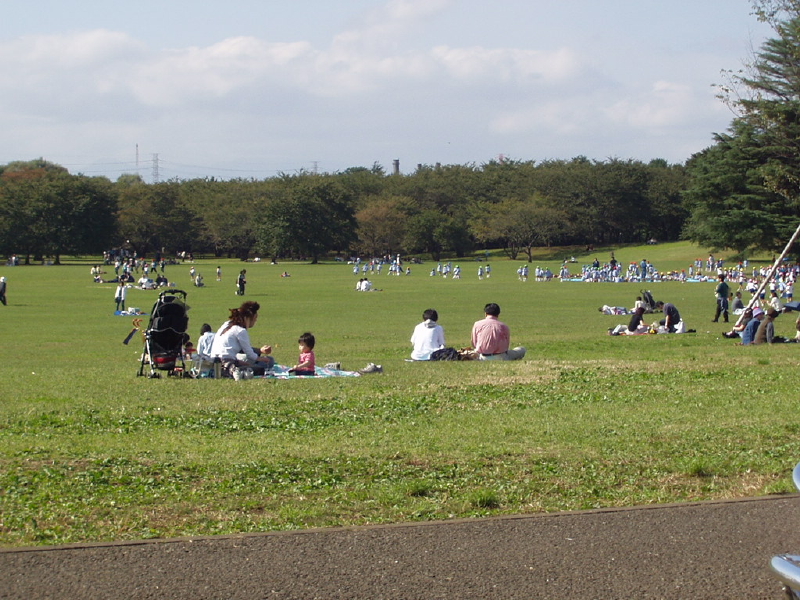 img0020.jpg