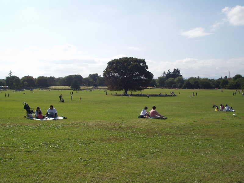 img0021.jpg