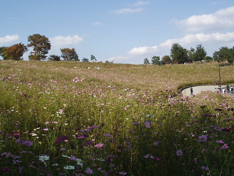 img0022.jpg