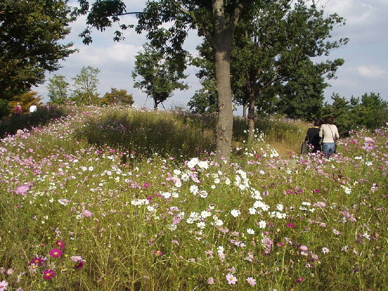 img0024.jpg