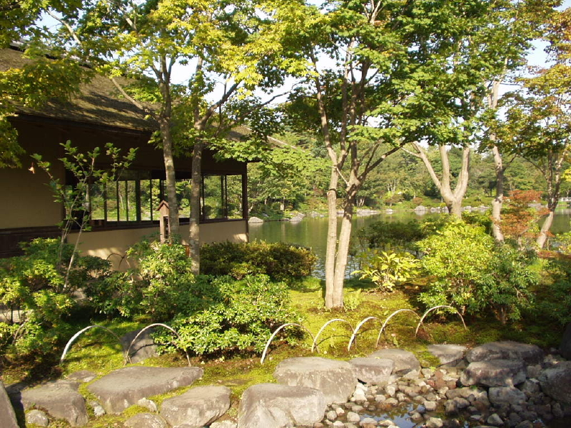 img0029.jpg