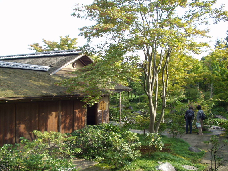 img0031.jpg