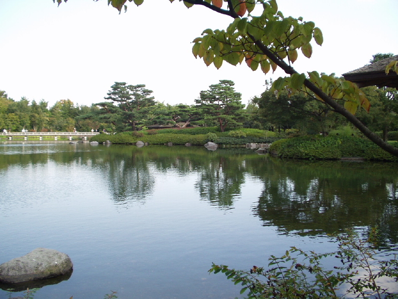 img0032.jpg
