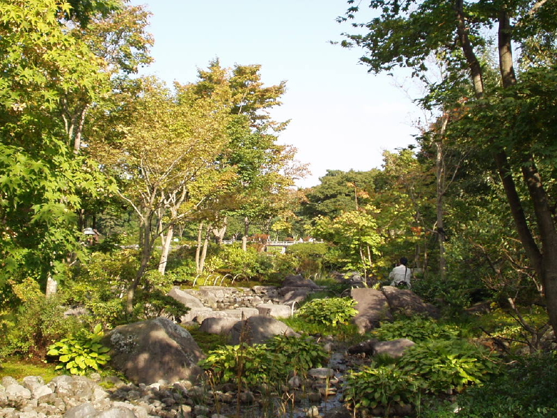 img0034.jpg