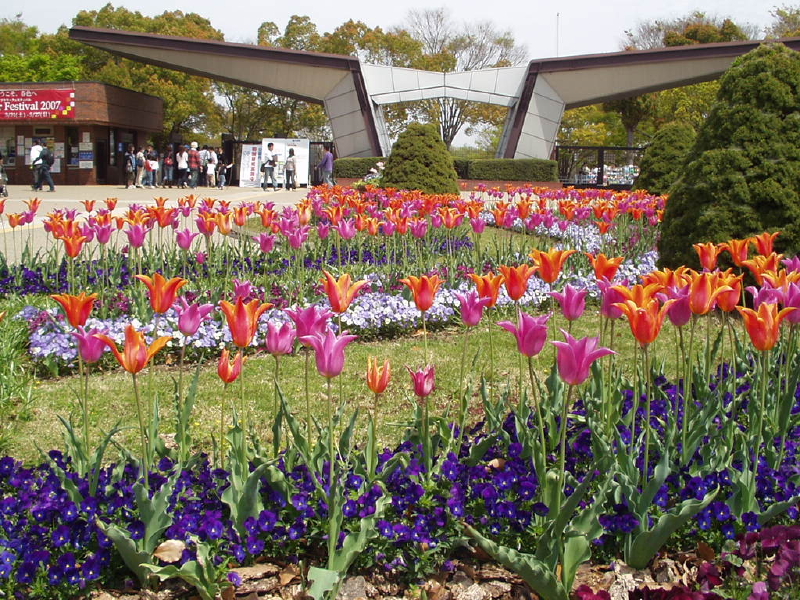 img0045.jpg