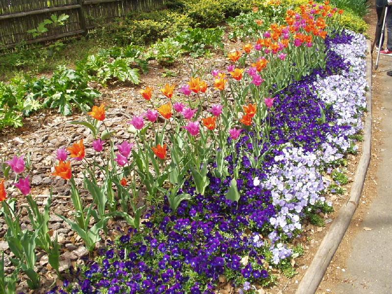 img0047.jpg