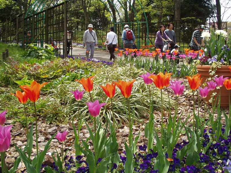 img0048.jpg