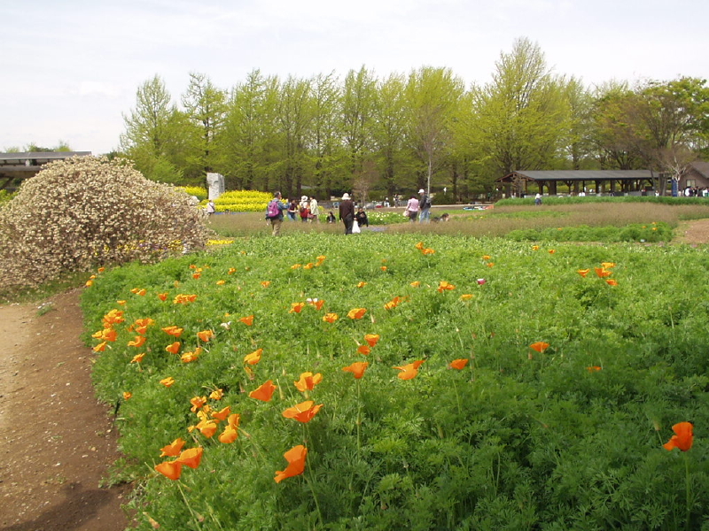 img0050.jpg