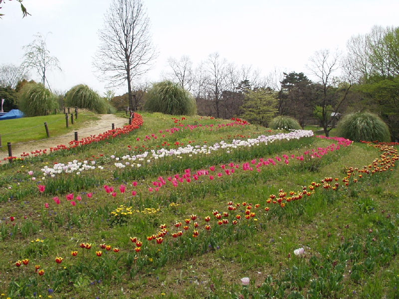 img0051.jpg