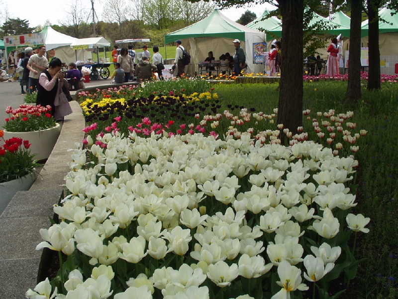img0054.jpg