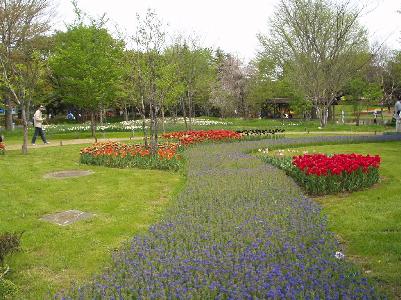 img0056.jpg