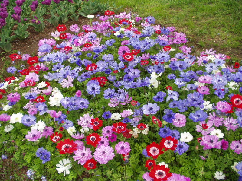 img0057.jpg