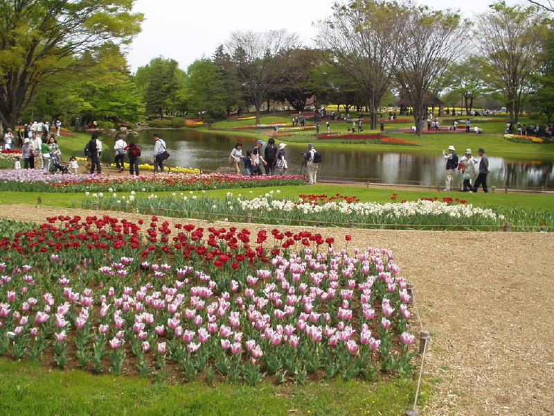 img0059.jpg