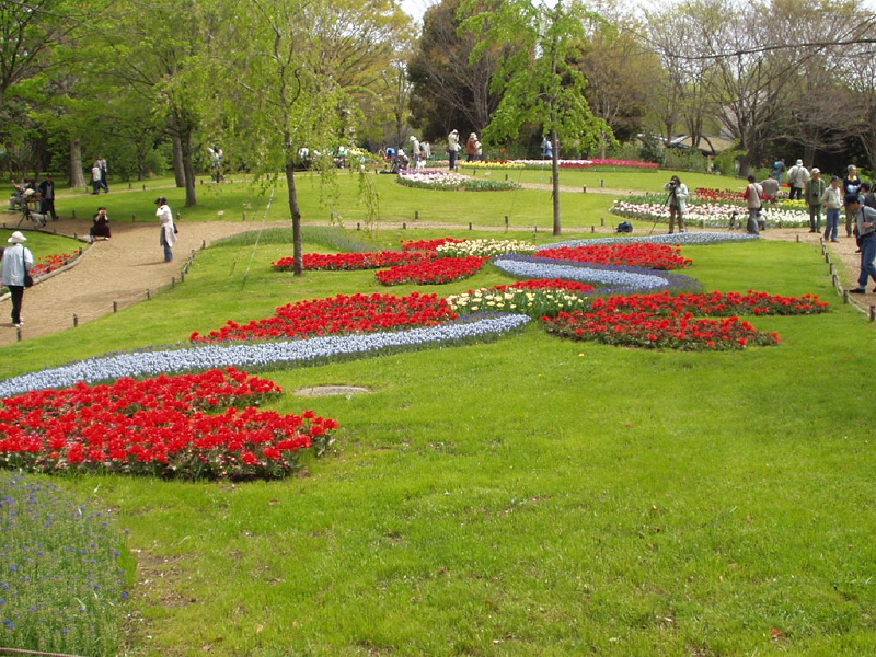 img0060.jpg